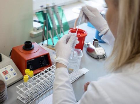 Cientistas descobrem novo coronavírus em morcegos brasileiros com traço similar ao da Covid