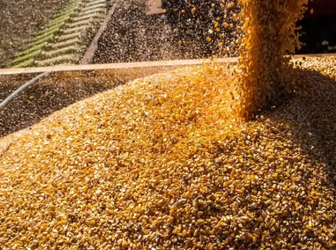 Safra de grãos: MS encerra ciclo de 2025 como 5º maior estado produtor do país