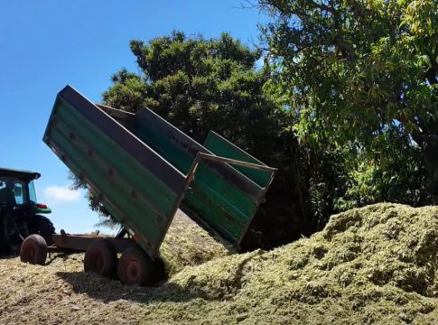 Governo de Mundo Novo beneficia produtor rural com o Programa Mais Leite