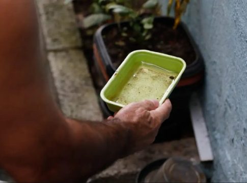 Entre a folia e o cuidado: SES alerta para prevenção contra a dengue e chikungunya no Carnaval