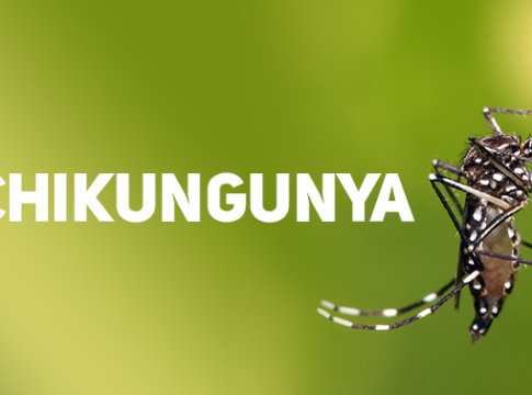 Onze cidades de Mato Grosso do Sul enfrentam epidemia de chikungunya