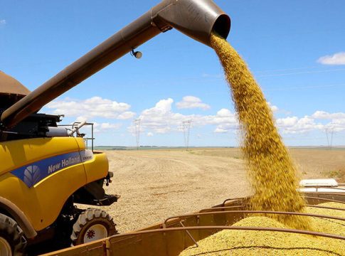 Soja bate recorde no Brasil e MS acelera produção com salto de 14% na safra