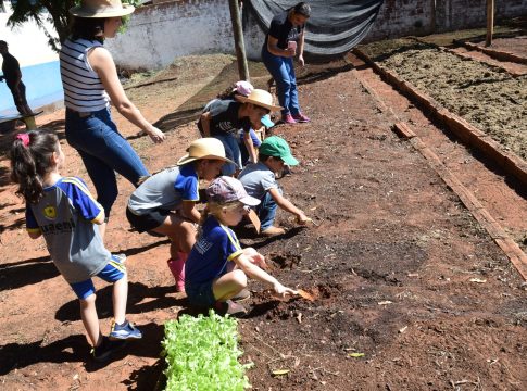 Projeto “Horta na Escola”, desenvolvido pela Itaipu Binacional foi realizado com alunos da Educação Infantil Sala Arco-Íris