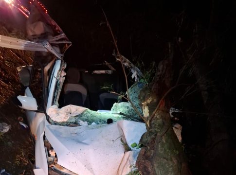 Picape é atingida por peça de caminhão, bate em árvore e motorista morre na PR-495 em Missal