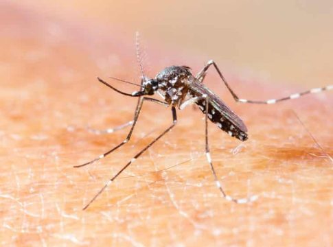 MS confirma 4ª morte por chikungunya em 2026, diz Ministério da Saúde
