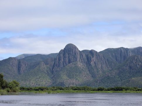 Para preservar o Pantanal, PSA Brigadas destinou mais de R$ 6,1 milhões para diferentes projetos sustentáveis