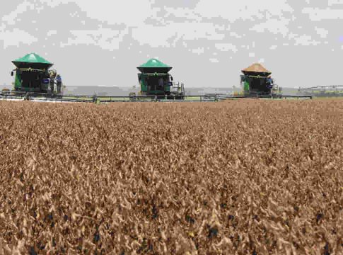 Impulsionada pelo Agro, Campo Grande é a 12ª cidade com maior faturamento de franquias