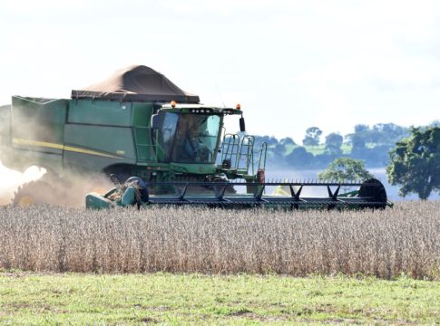 Mato Grosso do Sul registra a maior safra de soja da história