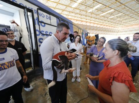 Primeira etapa: Caravana da Castração atende 20 mil animais em 63 municípios do Estado