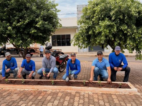 Prefeitura de Eldorado realiza revitalização de canteiro na Avenida Brasil