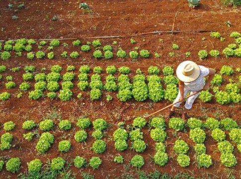 Agraer fortalece acesso ao crédito rural em projetos que abrem oportunidades a quem trabalha no campo