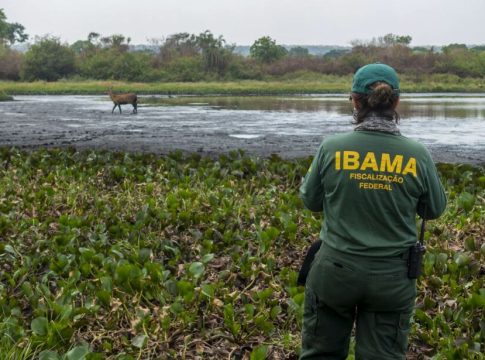 Fiscalizações contra incêndios no Pantanal são intensificadas em MS