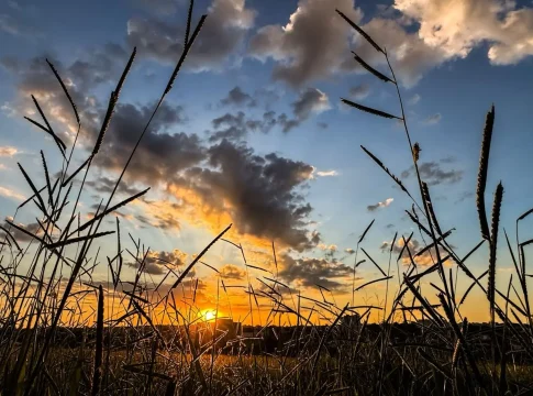 Chuvas irregulares, calorão e probabilidade de El Niño marcarão próximo trimestre em MS