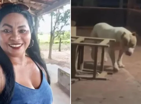 Polícia investiga morte de mulher após ataque de pit bull em residência no Maranhão