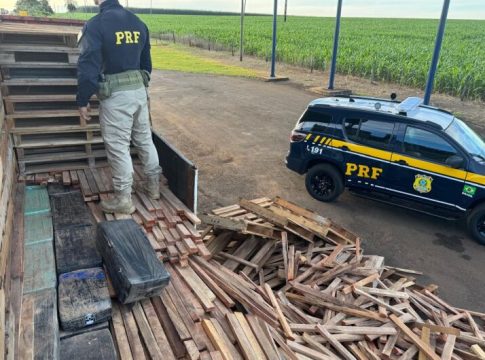 Carreta com pallets escondia quase 1,2 tonelada de maconha