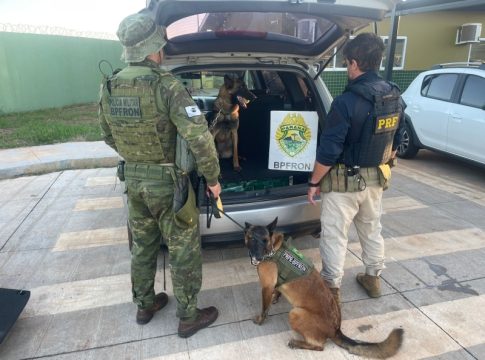 Cão farejador localiza mais de 100 kg de drogas em fundo falso de carro em Guaíra