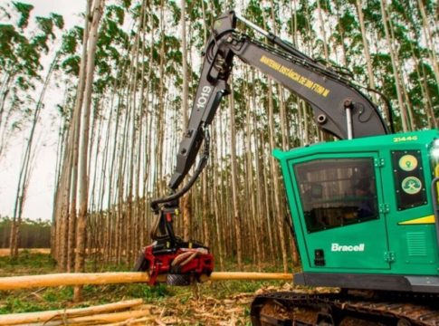 Gigante da celulose toma empréstimo bilionário para reflorestamento em MS