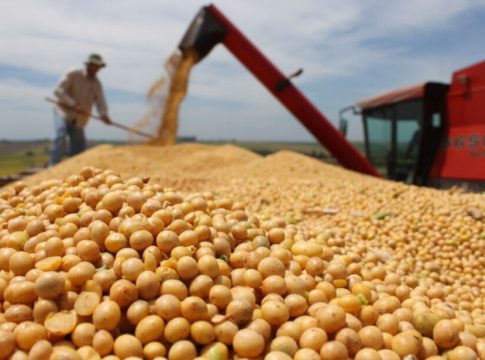 Mesmo após recuo, MS colhe a maior safra de soja da história
