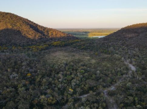 Para preservar o Pantanal, podutores rurais têm ações de conservação remuneradas por programa do Governo de MS