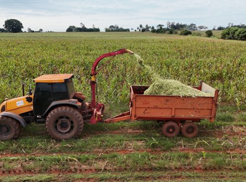 Apoio aos pequenos produtores: Prefeitura de Itaquiraí auxilia na produção de silagem