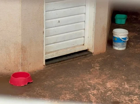 ‘Foi desesperador’: criança comprava doces quando pit bulls a atacaram em Campo Grande