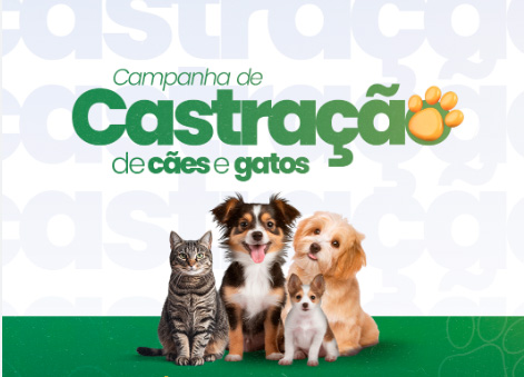 Cadastro para Castração de Cães e Gatos será lançado em Mundo Novo