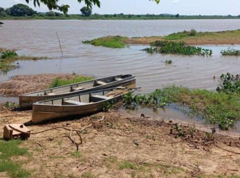 Pantanal pode aquecer mais de 2,5°C e perder chuvas em área estratégica até 2070