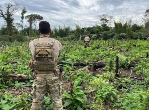 Nova fase de operação busca destruir roças de maconha e agir contra facções na fronteira