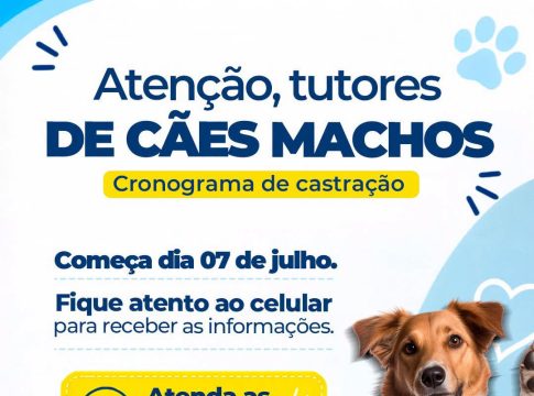 Cronograma de castração para cães machos começa nesta terça-feira