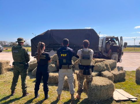 Polícia localiza 15 mil pacotes de cigarros em meio a carga de feno em Guaíra