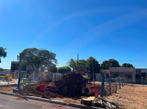 Secretaria de Obras reforça apoio ao Meio Ambiente com retirada de raízes de árvores condenadas