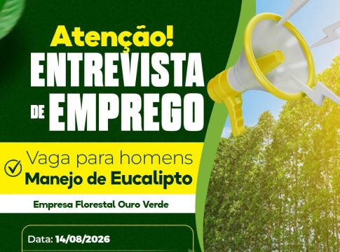 Atenção, homens: nesta sexta-feira tem entrevista para 20 vagas de Manejo de Eucalipto