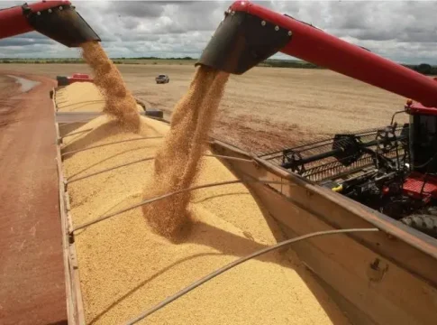 Mato Grosso do Sul alcança US$ 7,2 bilhões em exportações até julho