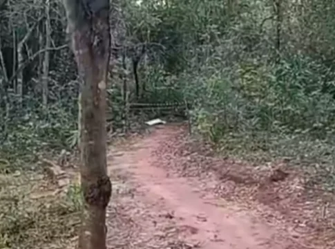 Jovem de 23 anos é encontrado morto em bosque municipal de Itaquiraí
