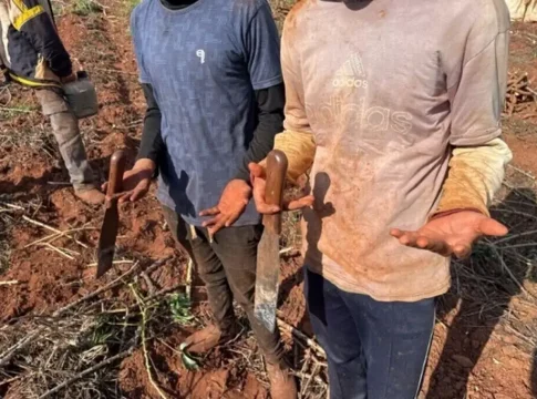 Fazendas de MS vão pagar R$ 1,7 milhão em danos morais por trabalho escravo