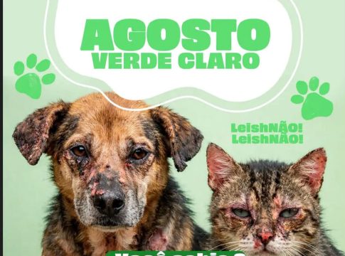 Agosto Verde – Combate à Leishmaniose