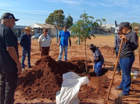 Plantio de árvores reforça arborização no Parquinho Infantil Lavínia Veiga