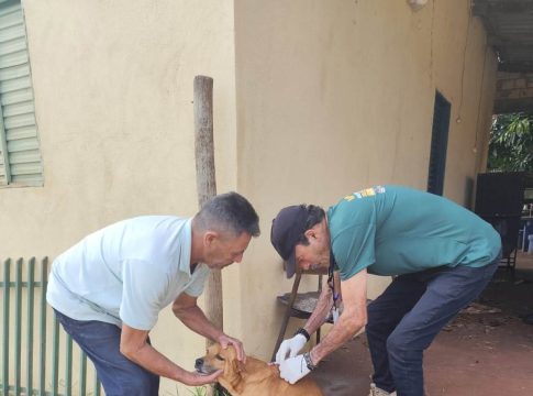 Vacinação antirrábica já imunizou 190 animais na área rural