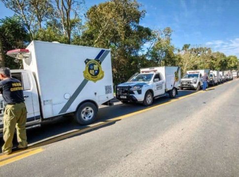 Fila de viaturas do IML revela dimensão da tragédia que matou 23 pessoas no Paraná