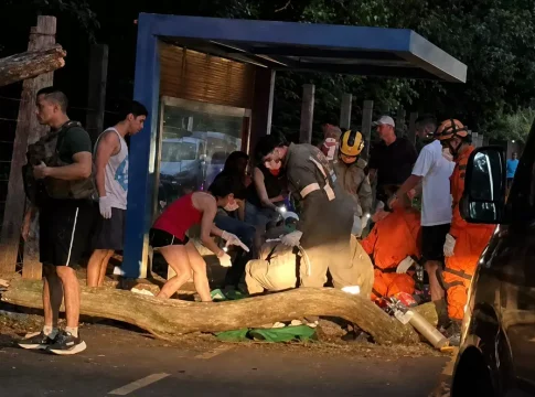 Jovem em patinete morre ao ser atingida por árvore no Parque dos Poderes