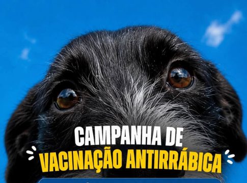 Campanha de Vacinação Antirrábica 2026 reforça a proteção de cães e gatos em Mundo Novo