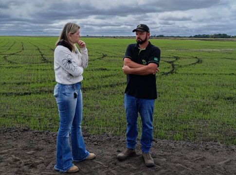 Secretária de Agricultura visita produção de arroz em Mundo Novo