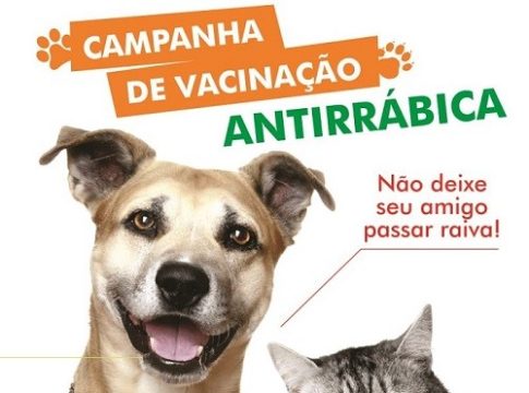 Governo de Mundo Novo anuncia a Campanha de Vacinação Antirrábica para cães e gatos