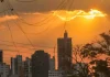 Entre flores e calor extremo, MS sente a conta da crise climática