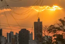 Entre flores e calor extremo, MS sente a conta da crise climática