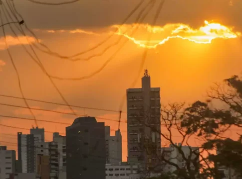 Entre flores e calor extremo, MS sente a conta da crise climática