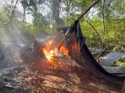 Três acampamentos são queimados com 1,8 tonelada de maconha