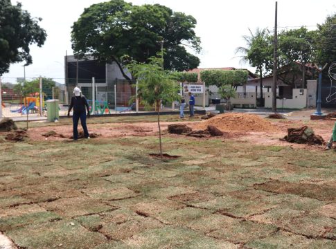 Plantio de grama avança na revitalização do Parquinho Infantil Lavínia Veiga