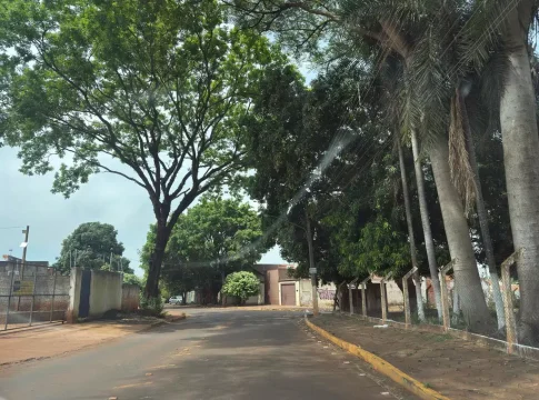 Motociclista perde equilíbrio em lombada e morre ao bater em árvore
