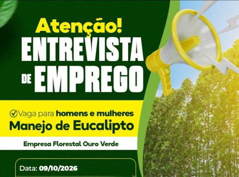 Entrevista de emprego para a Empresa Florestal Ouro Verde acontece nesta sexta-feira (9)
